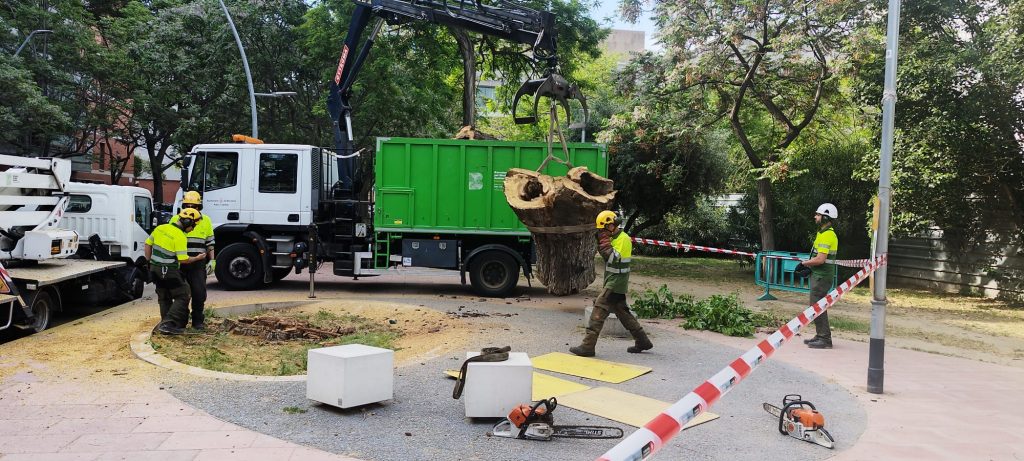 WhatsApp Image 2026 04 27 at 10.36.56 (1)