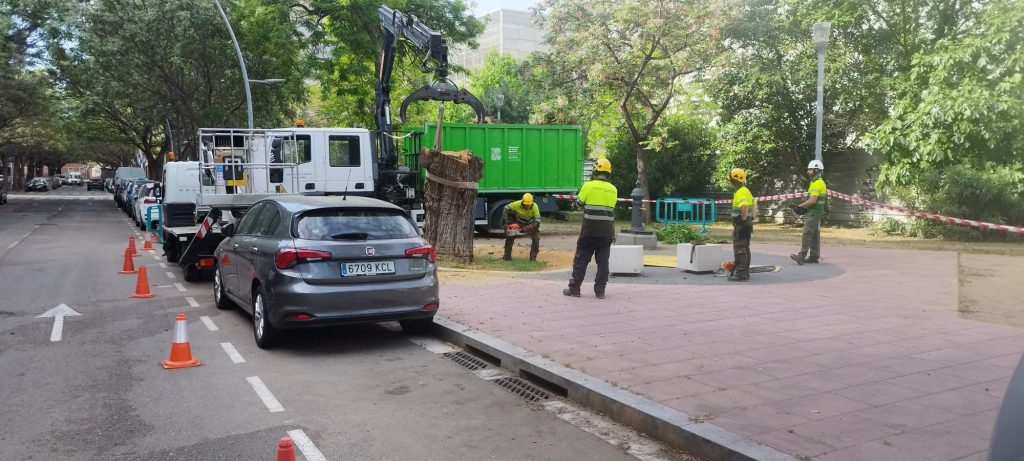 WhatsApp Image 2026 04 27 at 10.36.56