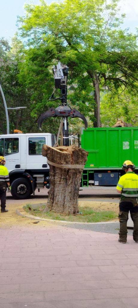 WhatsApp Image 2026 04 27 at 10.36.56 (4)